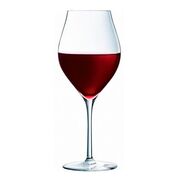 ����� ��� ���� Exaltation 550�� V6189