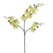 ������ ������������ ���������� �����-������� 45�� 1058844