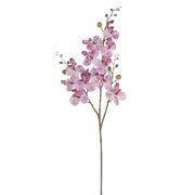 ������ ������������ ���������� ���������� 75�� 1128708