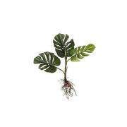 ������ ������������ �������� 54�� 1067230