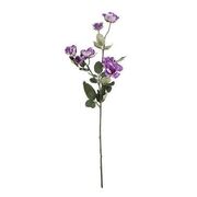 ������ ������������ ���� ���������� 69�� 1165181