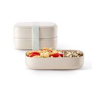 Ланч-бокс 19,2х10х11см 881404