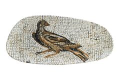 ����� ������������� Mesapotamia 36�� S-MT-MZPPJVAO36DT