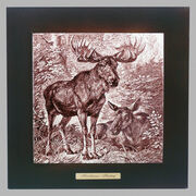 ����� �����. ���� 28�28�� 262-5014