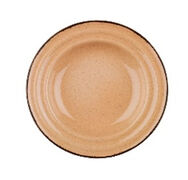 ������� �������� Tuana salmon 22�� TN22CK730P04