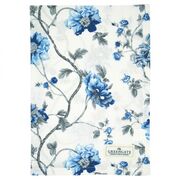 ��������� �������� Charlotte 50�70�� 570743374093