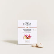 ��������� ��� �������������� ��������� Car Diffusers Amber's Sun 6950