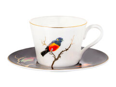 ����� ��� ���� � ������� ������� ������ 100�� 264-726