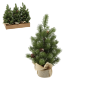 ���� ������������ 35�� 5900779900288