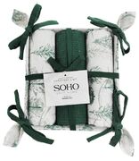 ����� �������� ���������+�������� Christmas 40�60�� BS 45514H/1