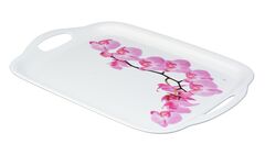 ������ 26�36�� 1112-IH-�������