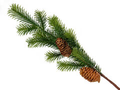 Ветка декоративная 52см 801-561