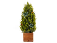 Можжевельник декоративный в горшке 48см 801-583