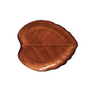 ����� Forest Dream ���� ������ 23�20�� R1537#FODR