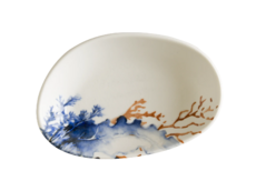 ������� ��������� Aquelis Vago 15�8,5�� F-AER1VAO15OKY