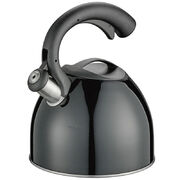 Чайник Coffee and Tea Count black 2,5л 430509