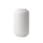 ���� Loreto 21,5�� AR3817W