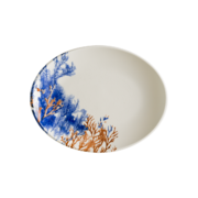 ����� �������� Aquelis 2 Moove 25�� F-AER2MOV25OV - ��� ������