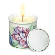 ����� � ��������� � ������� Flora 9�8,5�� 51179