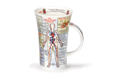 ������ Glencoe Bodyworks 500��