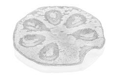 ����� ��� ������ Diamante 34�� 6244.1