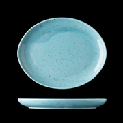 Блюдо овальное Life style цвет ARCTICBLUE 20см LSA3020