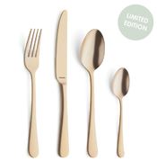 ����� �������� �������� Austin Gold 6/24 1410AUTR24C40