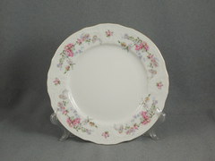 ����� ��������� ������� Bernadotte ����� ���� 19��