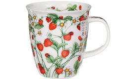 ������ Nevis Wild fruits strawberry 480�� 101005769