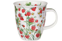 ������ Nevis Wild fruits raspberry 480�� 101005771