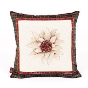 ��������� � ���������� ��������� ������ �������� 45�� ChamonixTCojin-45x45DAC