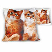 ������� ������������ ����� 45�45�� 021-1114