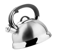 Чайник Bern 2,7л 50014