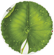 Блюдо круглое Freedom 33см 1-899