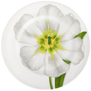 ������� ��������� Freedom 27�� 1-80/3