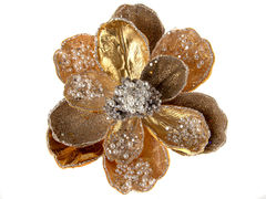 ������� ������� ����� ��� �������� 20�� 66-182