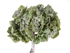 Ветка Новый год Гортензия 51см 66-149