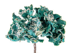 ����� ����� ��� ��������� 51�� 66-162