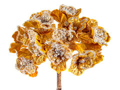 ����� ����� ��� ��������� 51�� 66-186