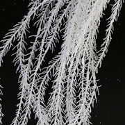 ���������� ����� ����� ��� 79�� AL22438