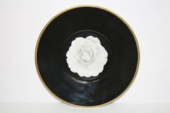 ����� ������ ��� ������ ����� Camellia 16�� 731010677