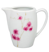 �������� Arigato 240�� 21086864