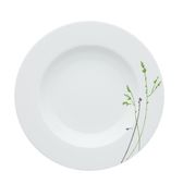 ����� ������� �������� Zen 23�� 21003031