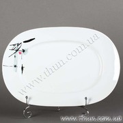 ����� �������� Leon �������� 38��