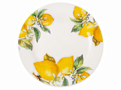 ������� �������� ����� 21�� 858-0071