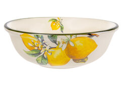 �������� ����� 21�� 858-0065