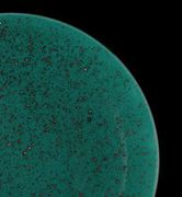 ���� ������ Life style ���� DEEPLAGOON