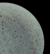 ���� ������ Life style ���� RAINFOREST