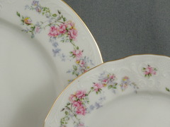 ���� ������ Bernadotte ����� ����