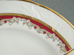 ���� ������ Tulip ������� �����